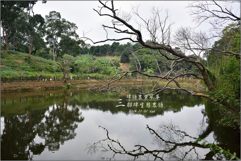 北埔三連埤 | 埤塘農業風華