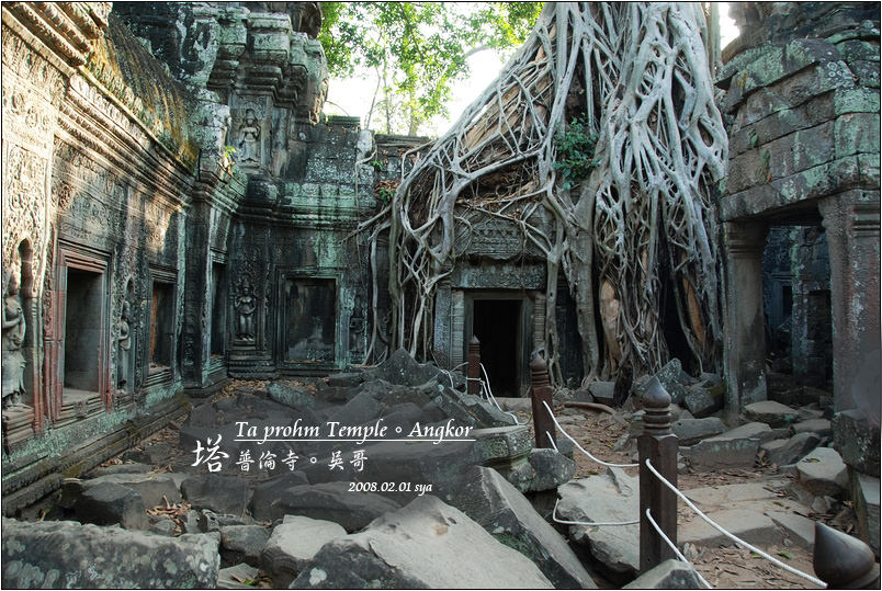 塔普倫寺 Ta prohm Temple | 古墓奇兵中被大樹吞噬的古廟場景