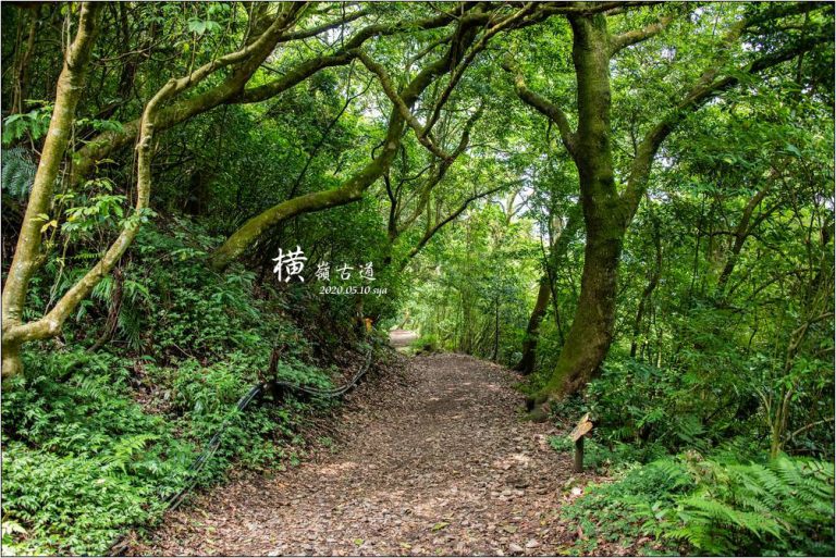 陽明山橫嶺古道