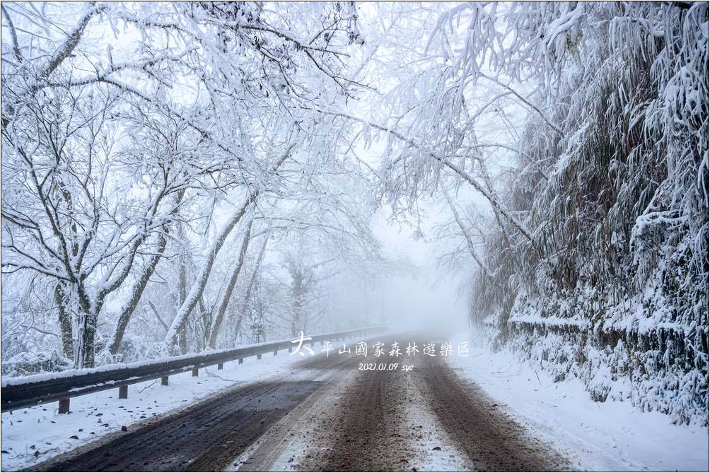 太平山賞雪