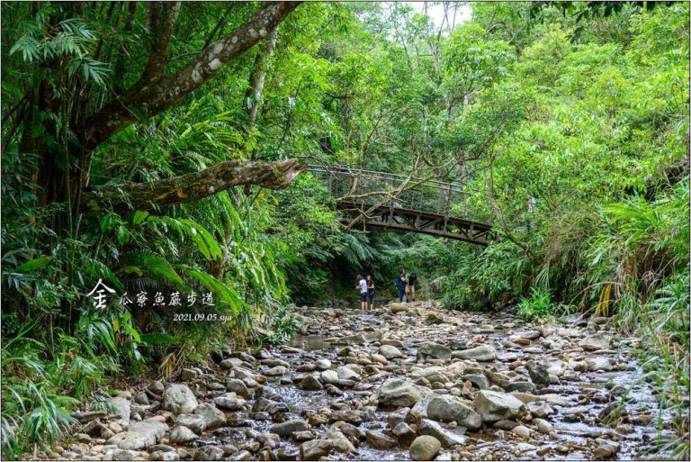 金瓜寮魚蕨步道