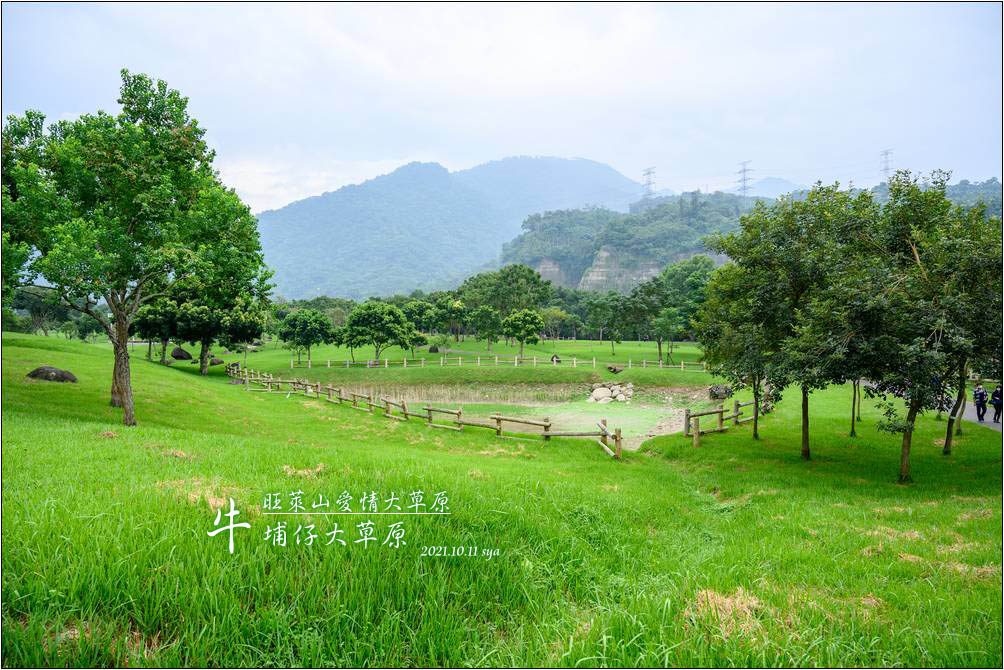 牛埔仔大草原 旺萊山愛情大草原