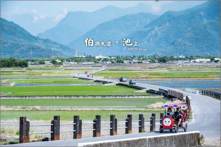 台東池上 伯朗大道