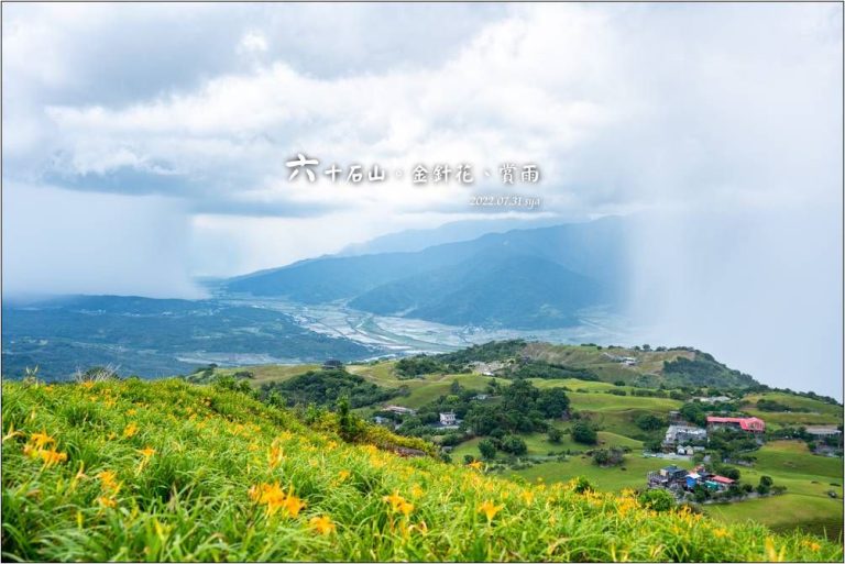 六十石山 金針花 賞雨