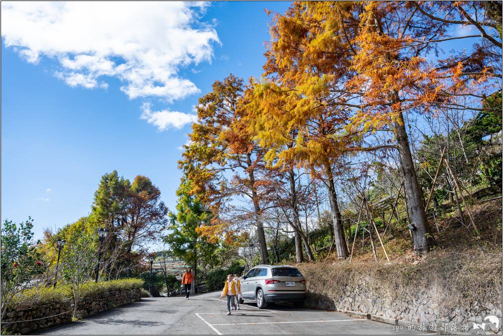 清境 妮娜巧克力創始店 佛羅倫斯 落羽松