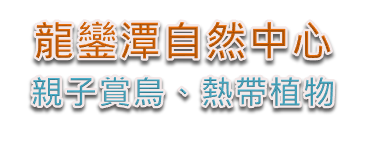 墾丁龍鑾潭自然中心。親子賞鳥、熱帶植物