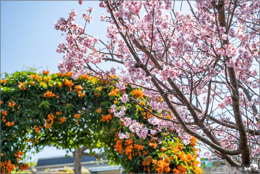 鶯歌 永吉公園 旋轉溜滑梯