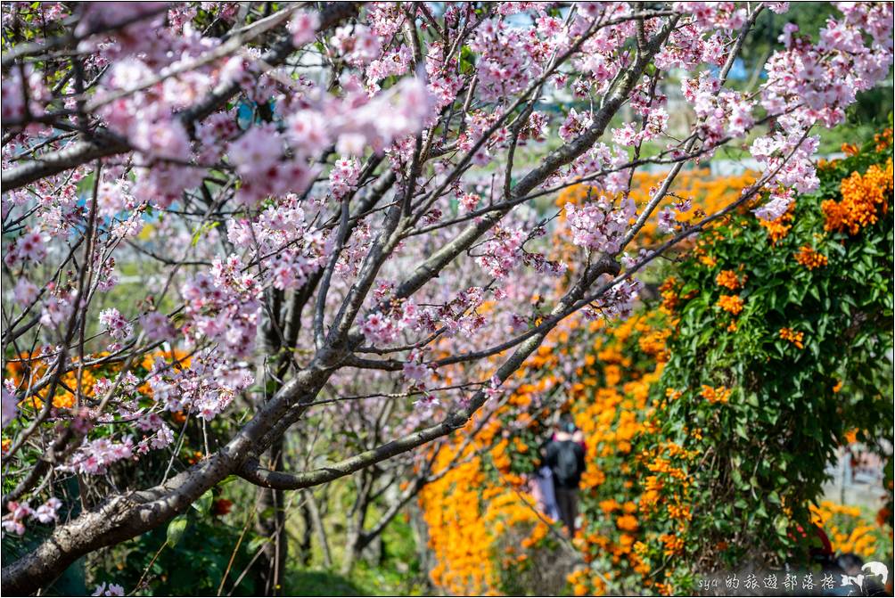 鶯歌 永吉公園 旋轉溜滑梯