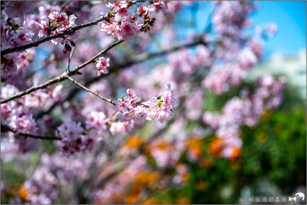 鶯歌 永吉公園 旋轉溜滑梯