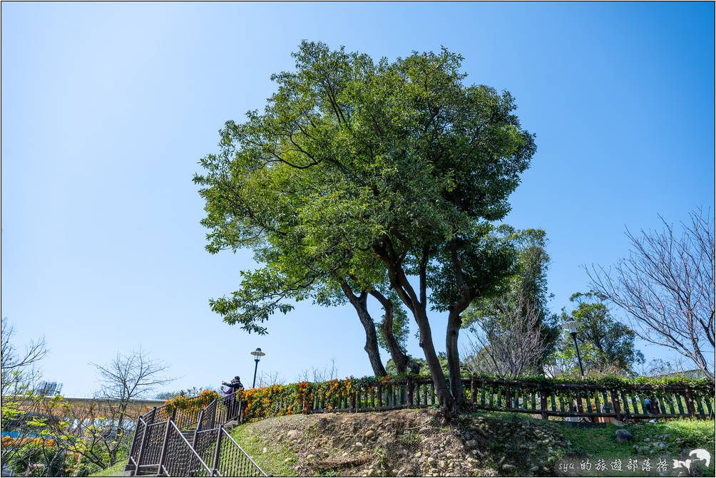 鶯歌 永吉公園 旋轉溜滑梯