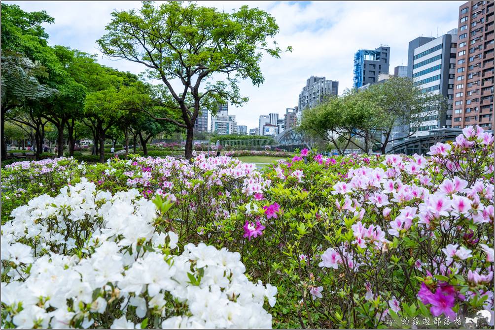 大安森林公園