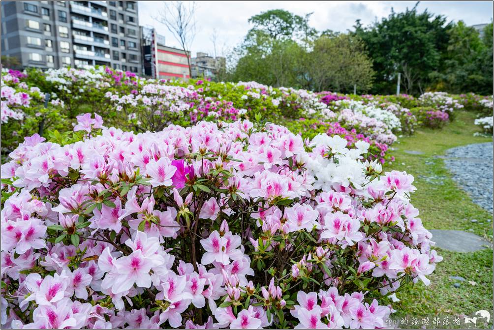 大安森林公園