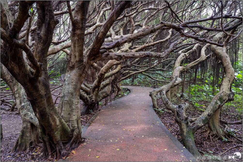 富貴角燈塔、富貴角公園步道、老梅迷宮