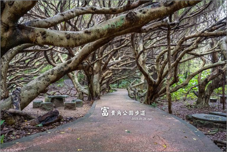 富貴角公園、富貴角燈塔、老梅迷宮