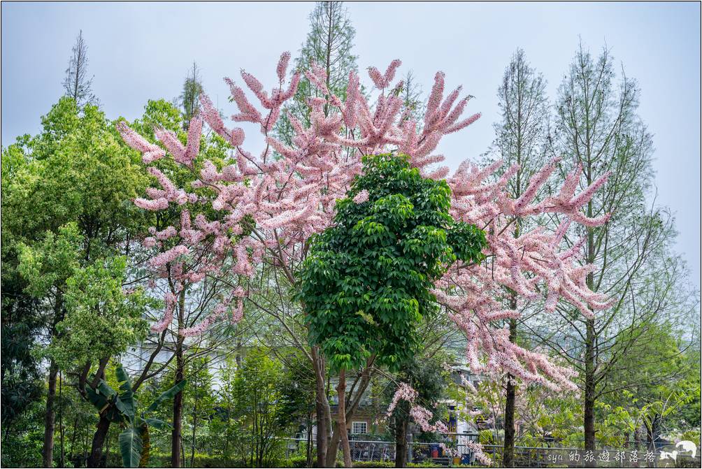 逐鹿部落、逐鹿社區、觸口梅花鹿園區 逐鹿傳說