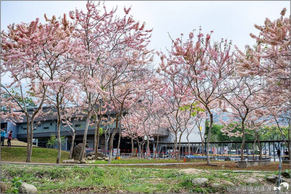 逐鹿部落、逐鹿社區、觸口梅花鹿園區 逐鹿傳說