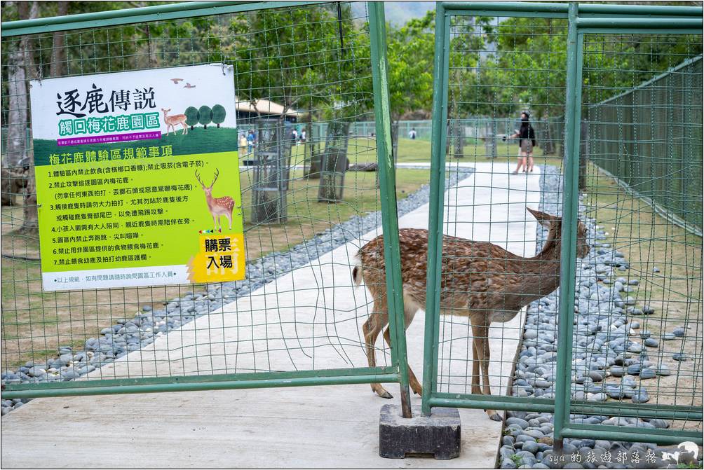 逐鹿部落、逐鹿社區、觸口梅花鹿園區 逐鹿傳說