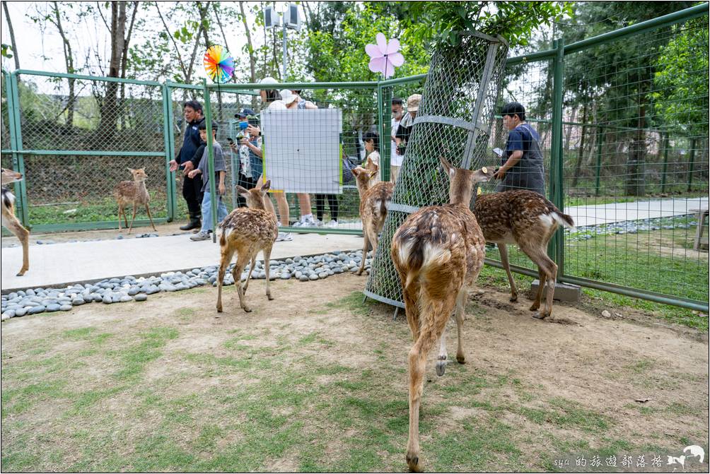 逐鹿部落、逐鹿社區、觸口梅花鹿園區 逐鹿傳說