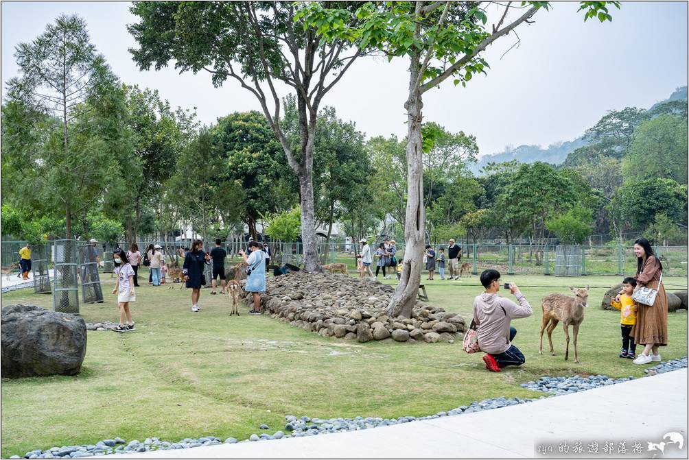 逐鹿部落、逐鹿社區、觸口梅花鹿園區 逐鹿傳說