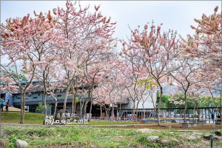 觸口梅花鹿園區 逐鹿傳說 逐鹿社區