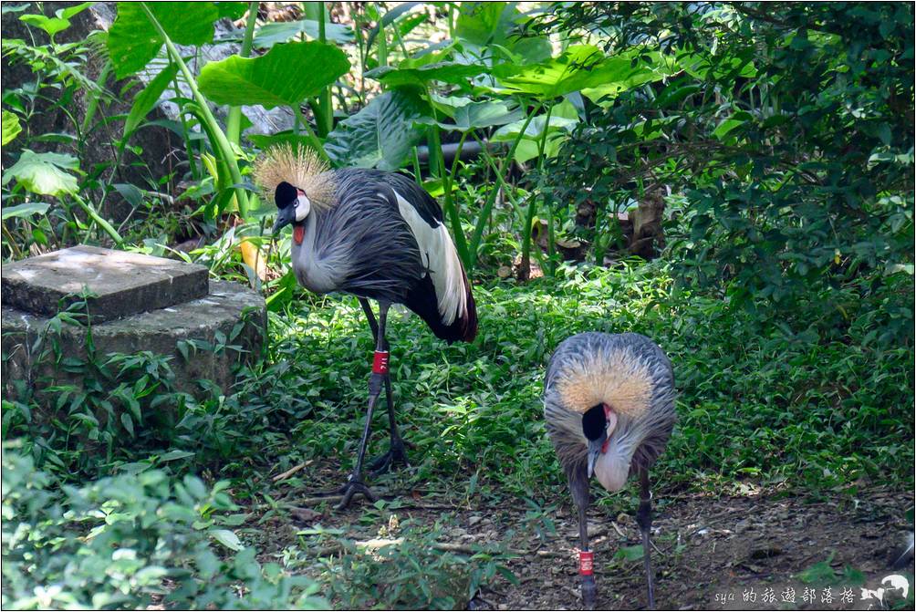 臺北市立動物園