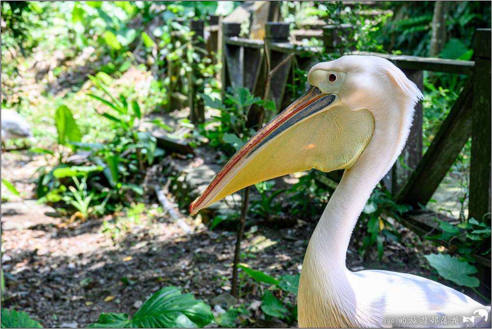 臺北市立動物園