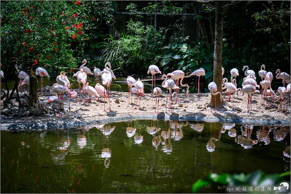 臺北市立動物園