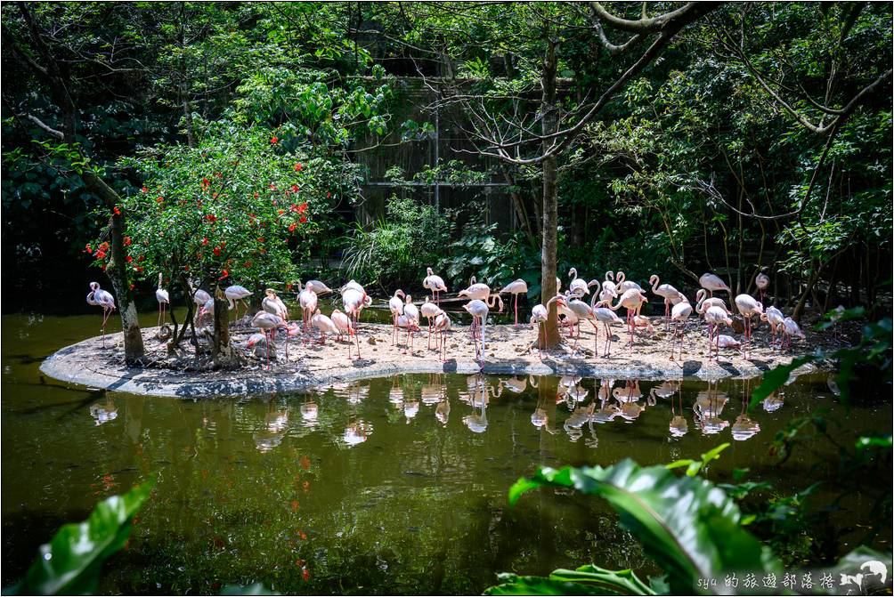 臺北市立動物園