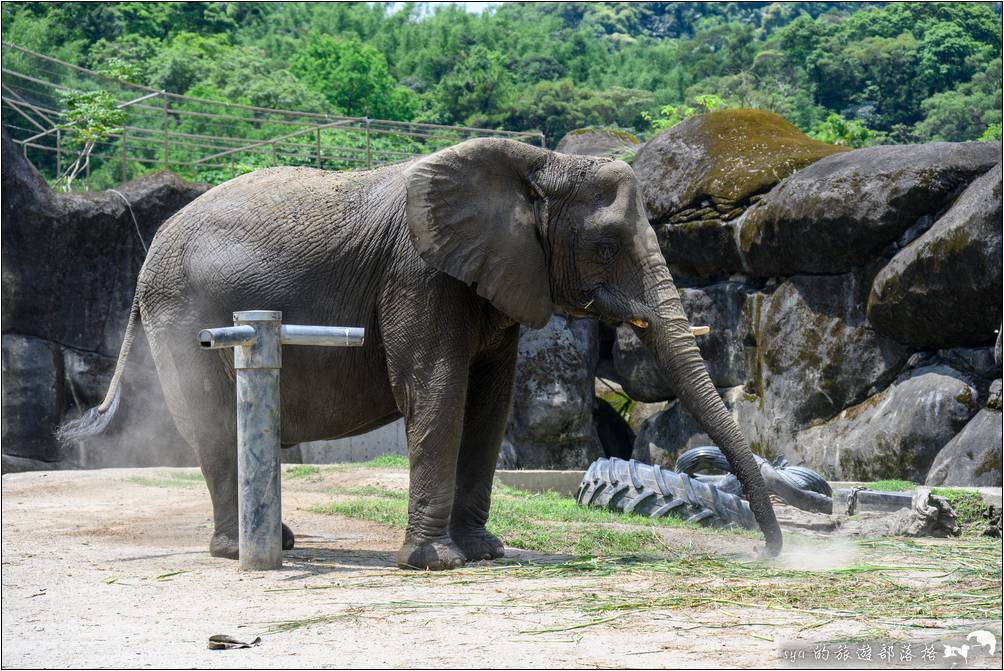 臺北市立動物園