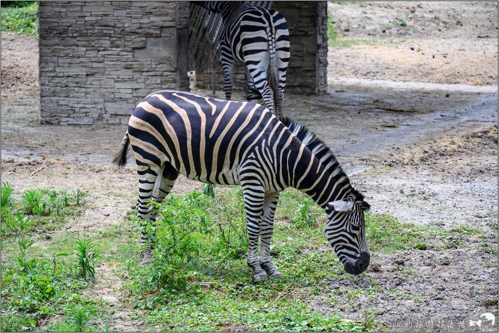 臺北市立動物園