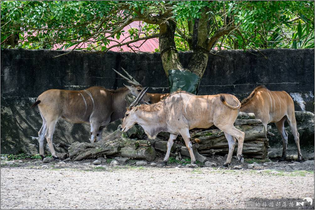 臺北市立動物園