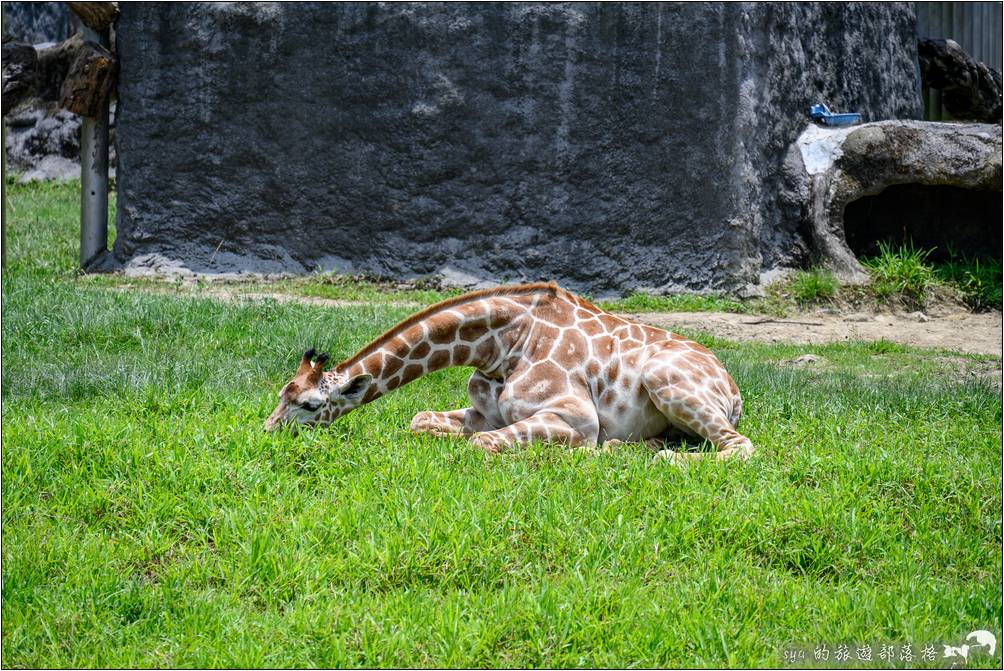 臺北市立動物園