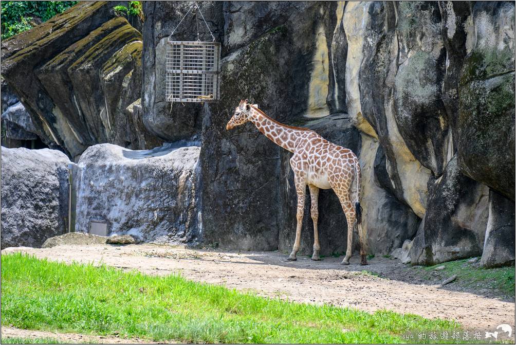 臺北市立動物園