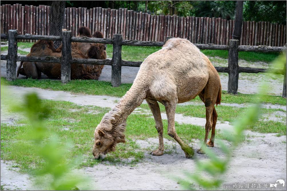 臺北市立動物園