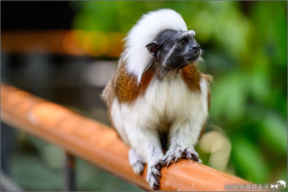 臺北市立動物園