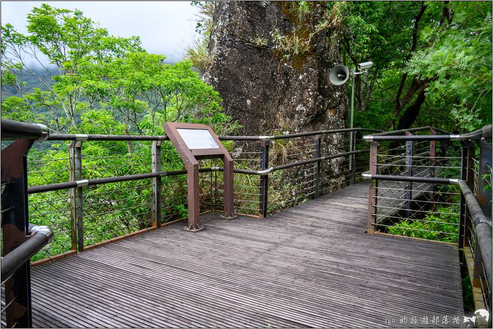 巴陵生態園區步道