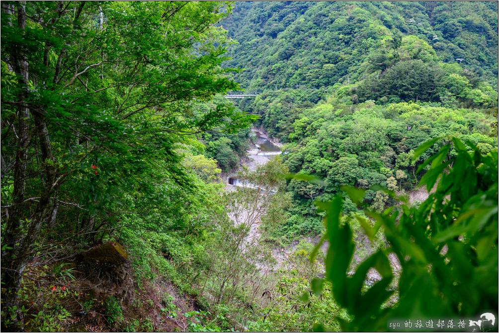 巴陵生態園區步道