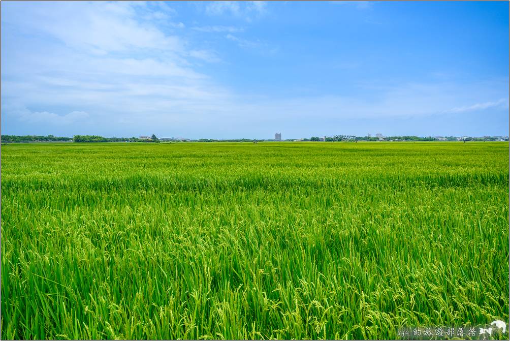 冬山熱氣球嘉年華 三奇美徑