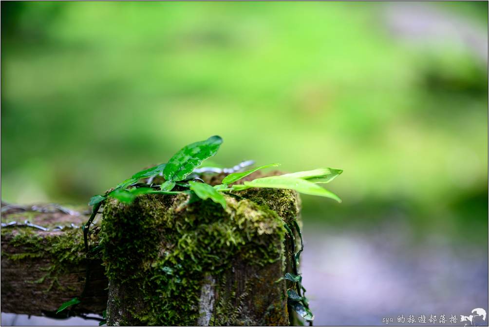 福山植物園