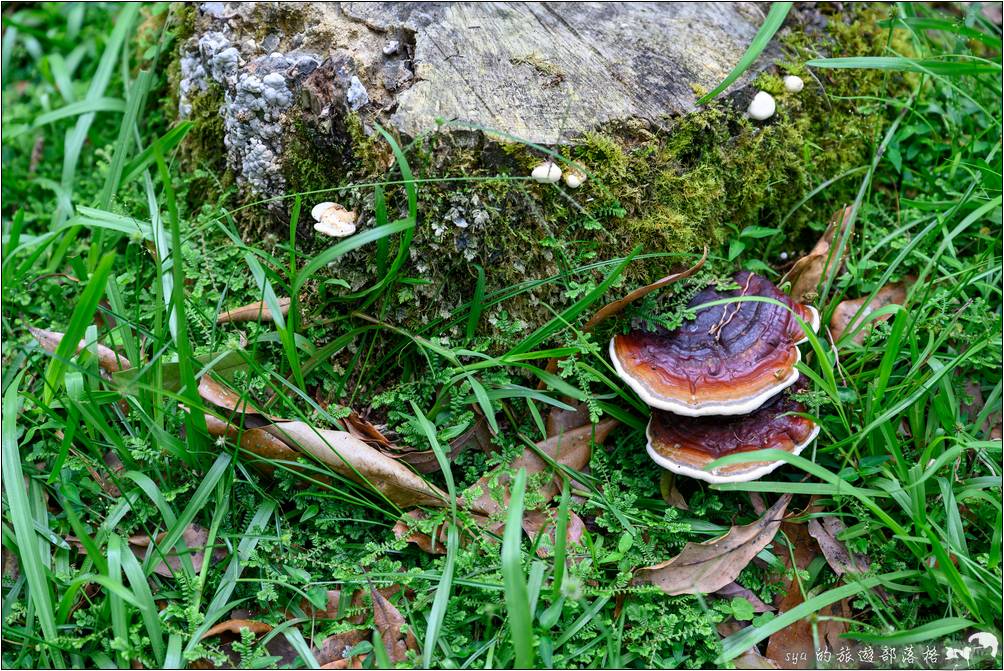 福山植物園