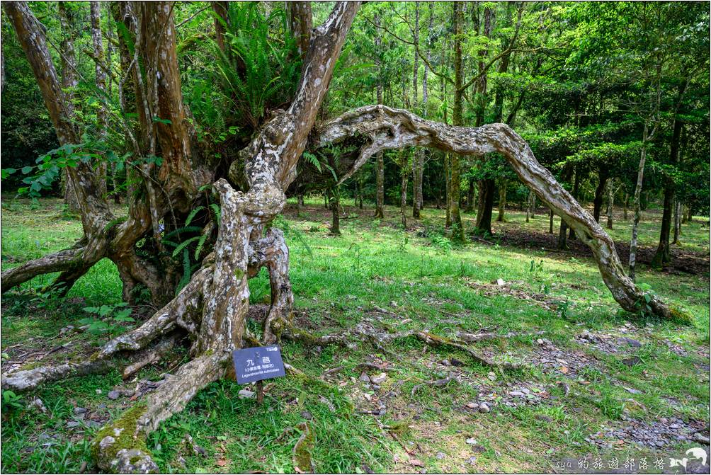 福山植物園