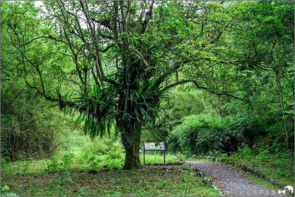 福山植物園