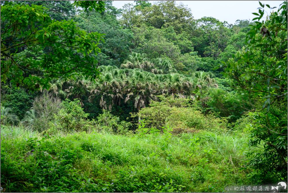 福山植物園