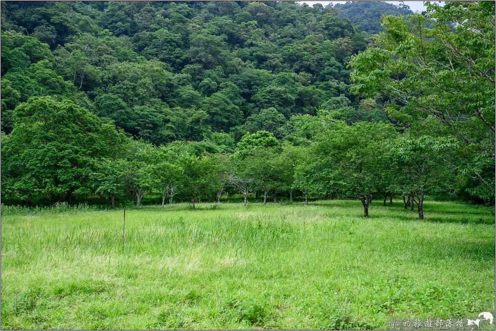 福山植物園 大草原