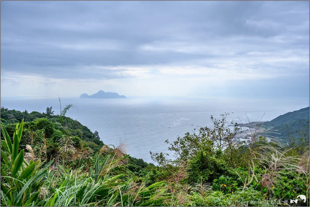 草嶺古道 芒花季