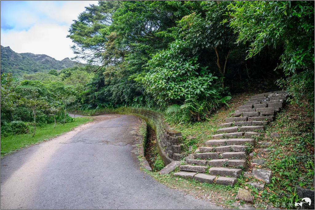 草嶺古道 芒花季