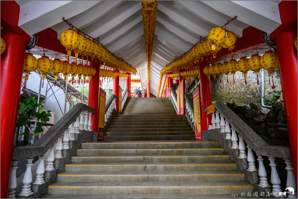 草嶺古道 芒花季