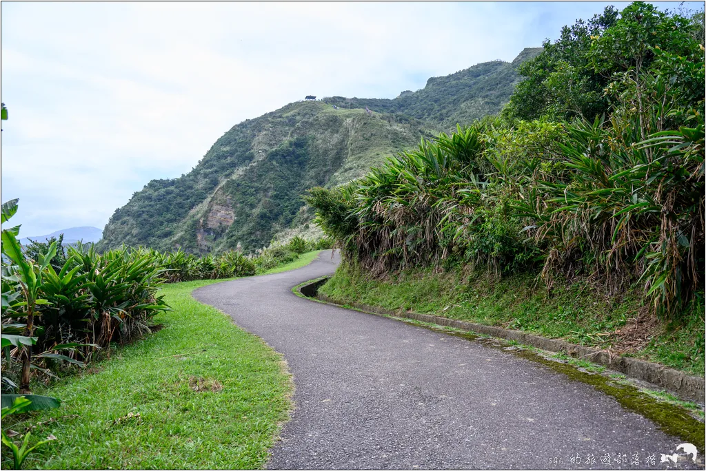 草嶺古道 芒花季