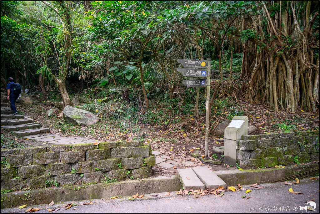 草嶺古道 芒花季