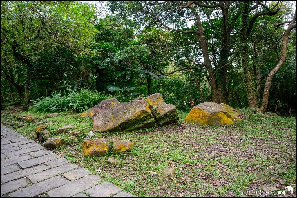 草嶺古道 芒花季